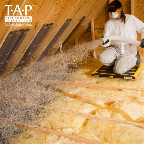 Tap insulation. Things To Know About Tap insulation. 